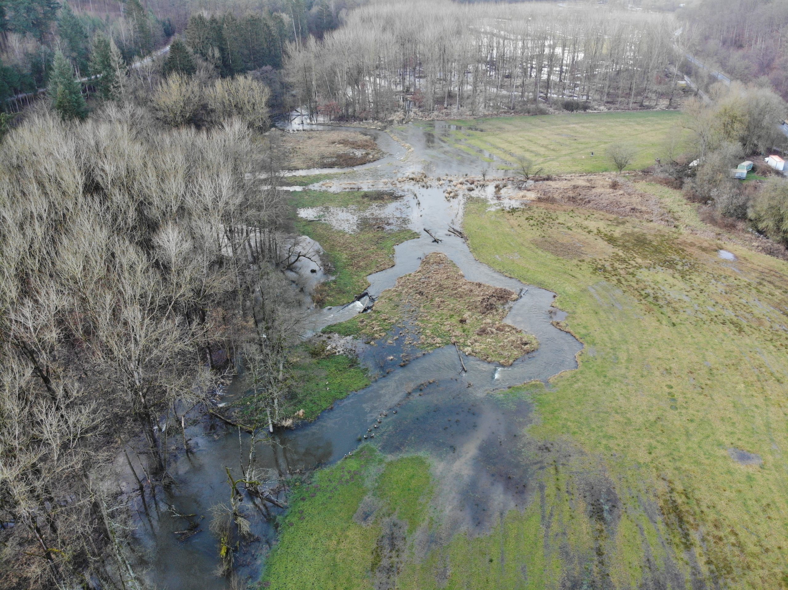 created by dji camera Renaturierung des Gellinghauser Quellbaches