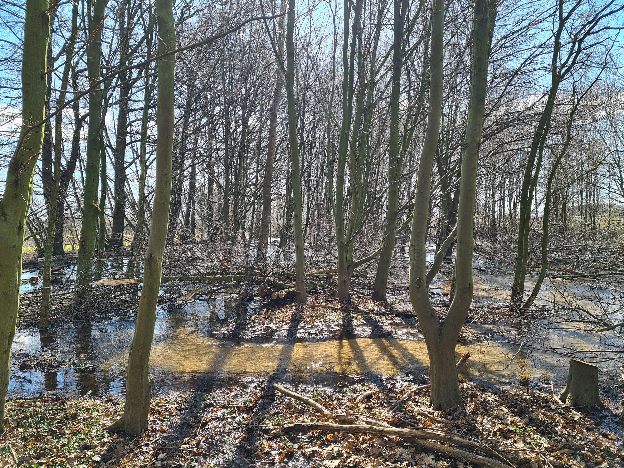 Hygon-Hochwasser-Informationswerte-Lagebereichte-WOL-NRW
